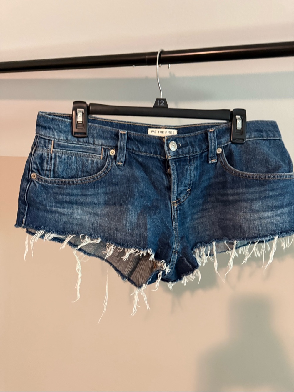 We the Free Hit the Road Micro Shorts- Blue